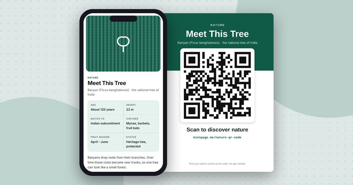 Nature education page mini website on a phone and its printed QR poster